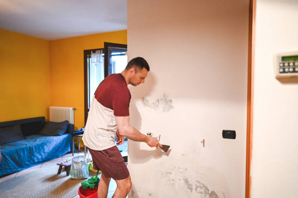 Best Black Mold Remediation in Hanford, CA